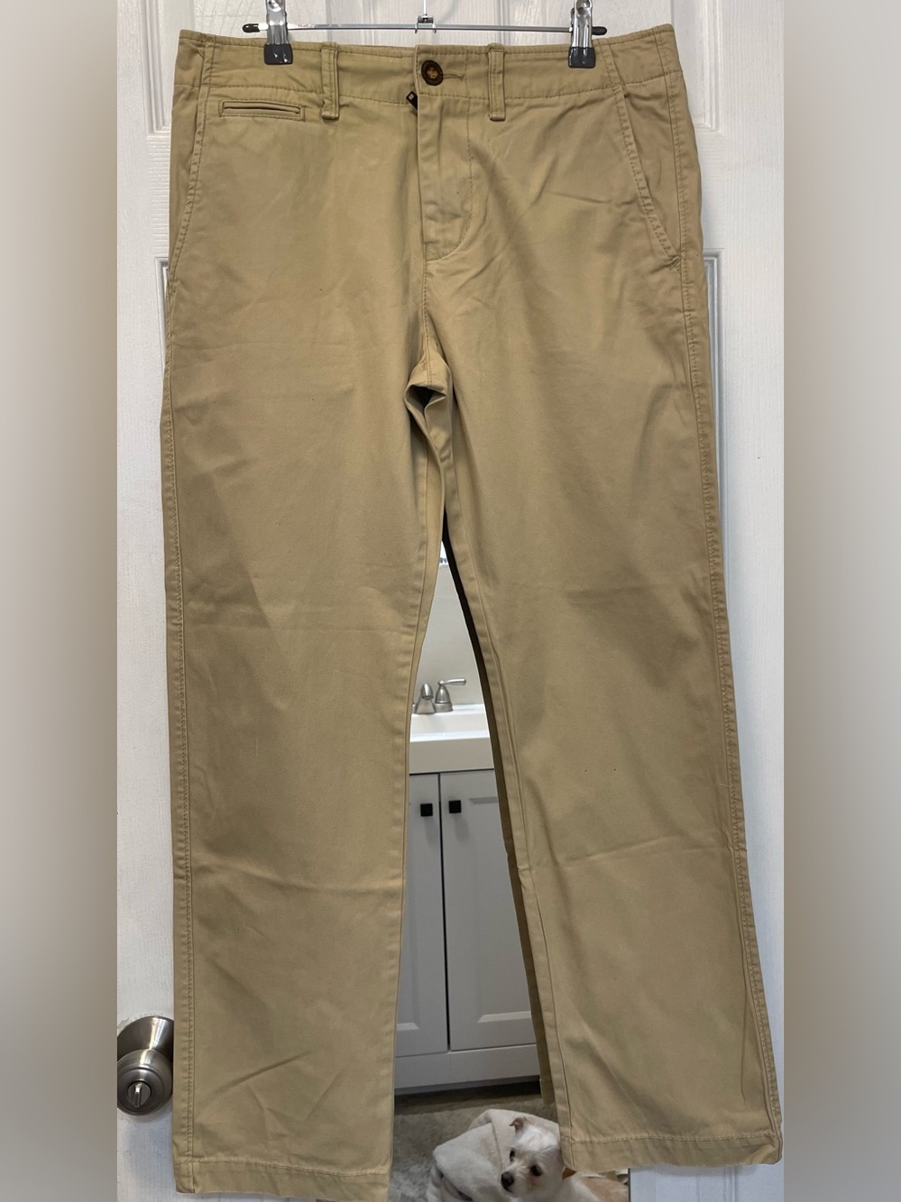 American Eagle Outfitters Men's Tan Chino Pants